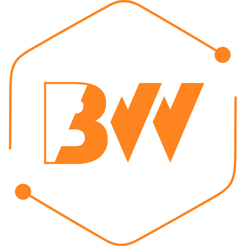Brainwork logo